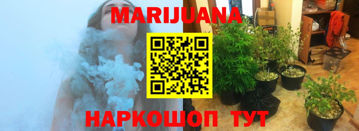 Бошки Шишки гибрид  Каннабис семена  Вход с VPN  Конопля LSD WEED  Магнитогорск 